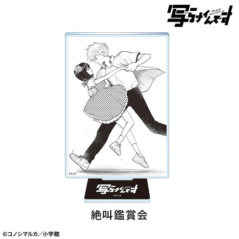『【写らナイんです】』アクリルスタンド:絶叫鑑賞会