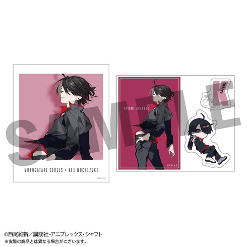 『〈物語〉シリーズ×望月けい』トレーディングフォト風カード&ステッカーセット全12種【BOX】