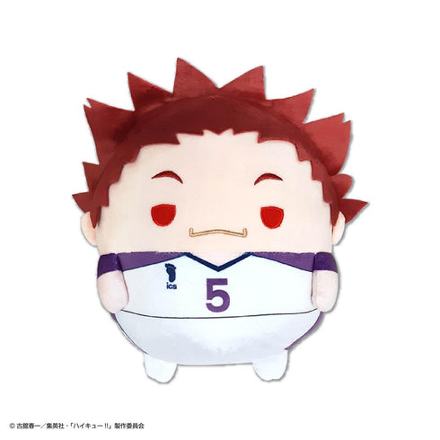 『ハイキュー!!』HQ-95 ふわコロりん Msize5 E 天童覚【202503再販】