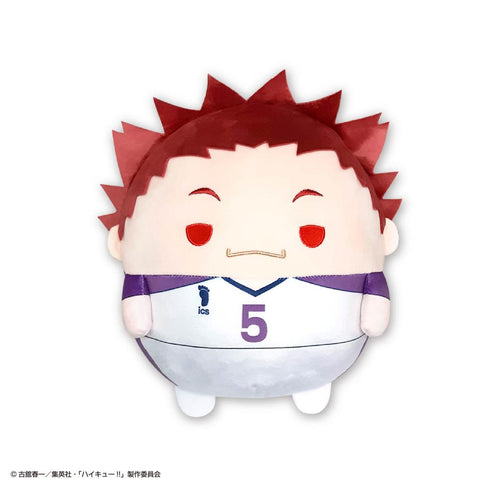 『ハイキュー!!』HQ-96 ふわコロりんBIG5 E 天童覚【202503再販】