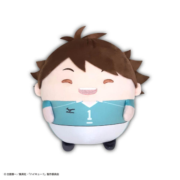 『ハイキュー!!』HQ-98 ふわコロりん Msize6 C 及川徹【202505再販】