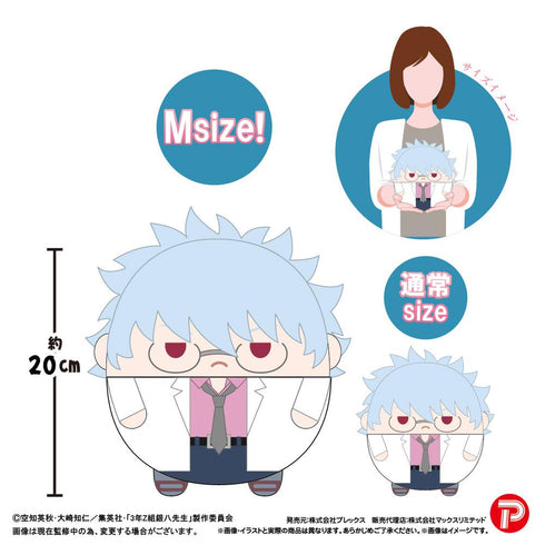 『3年Z組銀八先生』GT-25 ふわコロりんMsize A 坂田銀八