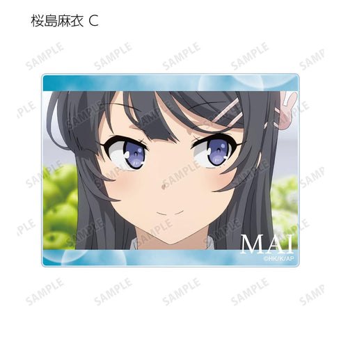 『青春ブタ野郎はバニーガール先輩の夢を見ない』桜島麻衣 トレーディング場面写アクリルカード(単位/BOX)【202507再販】