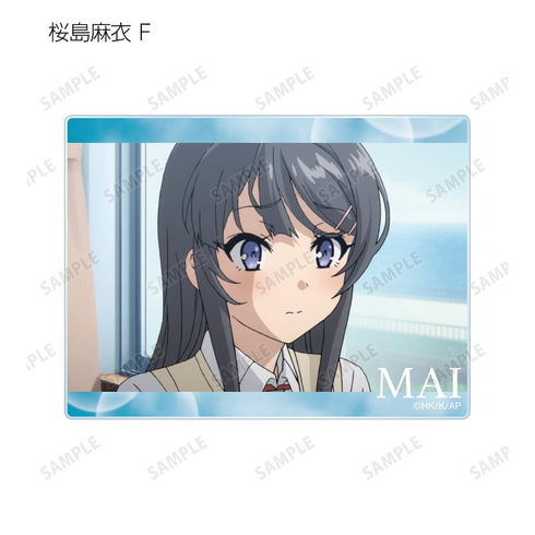 『青春ブタ野郎はバニーガール先輩の夢を見ない』桜島麻衣 トレーディング場面写アクリルカード(単位/BOX)【202507再販】