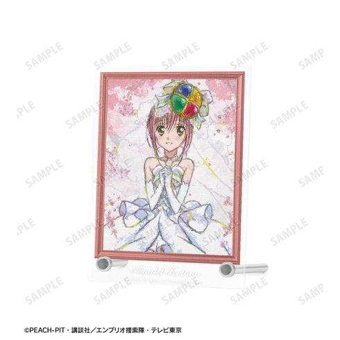 『しゅごキャラ!』アミュレットフォーチュン grunge CANVAS A6アクリルパネル【202604再販】