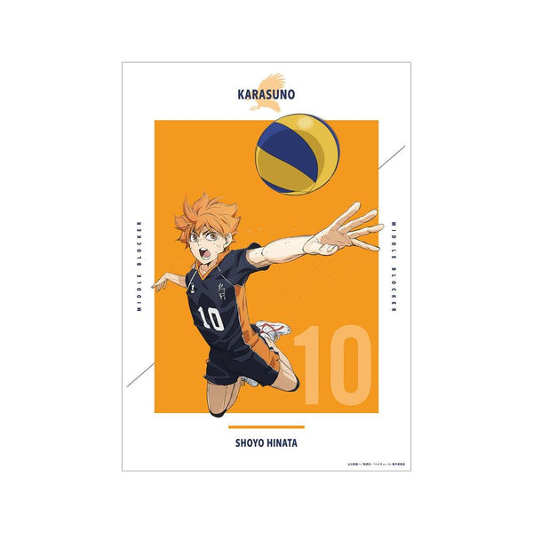 『ハイキュー!! ゴミ捨て場の決戦』日向翔陽 A3マット加工ポスター【202608再販】