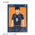 《排球少年!! 垃圾场决战》亚克力收藏卡(单位/盒)【202608再版】