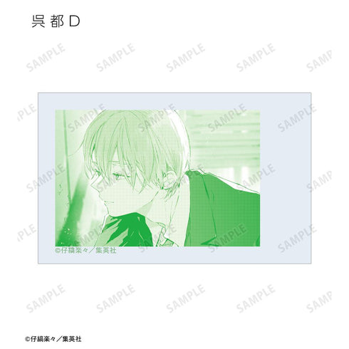 『ハレルヤベイビー』トレーディングインスタントカメラ風イラストカード(単位/BOX)