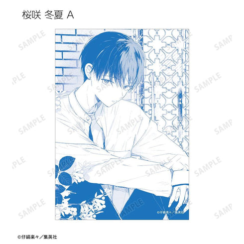 《哈利路亞寶貝》收藏卡 (單位/盒)【202603再版】