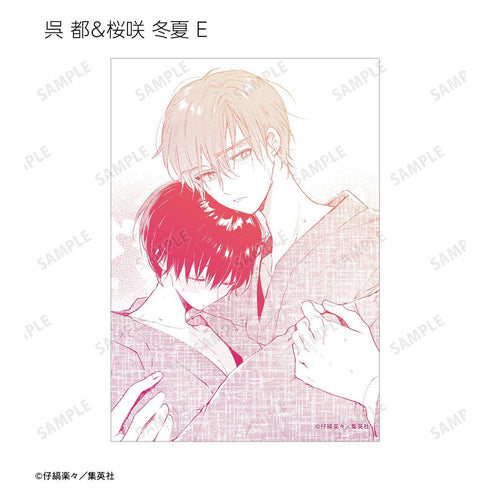《哈利路亞寶貝》收藏卡 (單位/盒)【202603再版】