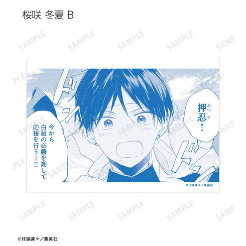 『ハレルヤベイビー』トレーディングブロマイド(単位/BOX)