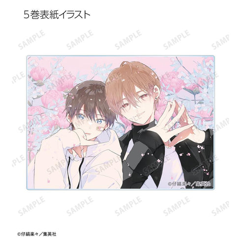 『ハレルヤベイビー』トレーディングアクリルカード(単位/BOX)【202603再販】