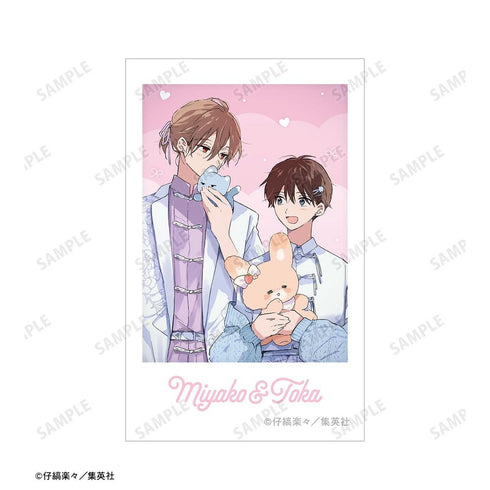 『ハレルヤベイビー』仔縞楽々先生 描き下ろし ぬい抱っこver. インスタントカメラ風イラストカード3枚セット【202603再販】