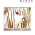 《狼与香辛料 MERCHANT MEETS THE WISE WOLF》霍洛 Ani-Art BIG亚克力立牌 ver.A【202607再版】