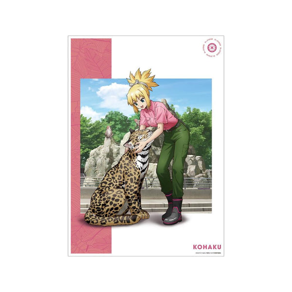 《Dr.STONE》全新繪製 琥珀 飼育員版 A3 霧面處理海報【202609 再版】