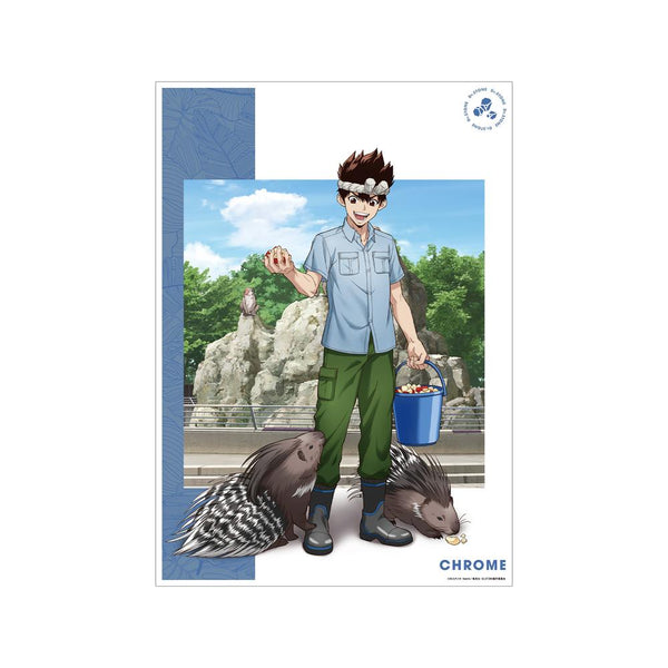 『Dr.STONE』描き下ろし クロム 飼育係ver. A3マット加工ポスター【202504再販】