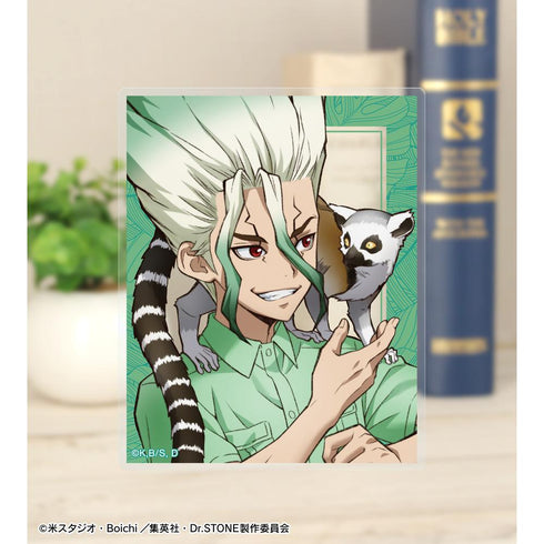 『Dr.STONE』描き下ろし 飼育係ver. トレーディングアクリルカード(単位/BOX)【202510再販】