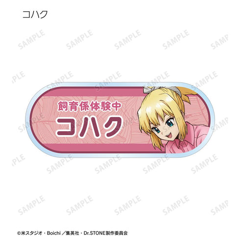 『Dr.STONE』描き下ろし 飼育係ver. トレーディングアクリルネームプレート(単位/BOX)【202510再販】