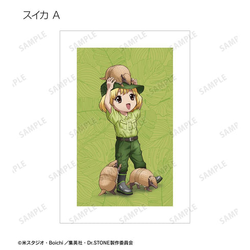 『Dr.STONE』描き下ろし 飼育係ver. トレーディングポストカード(単位/BOX)