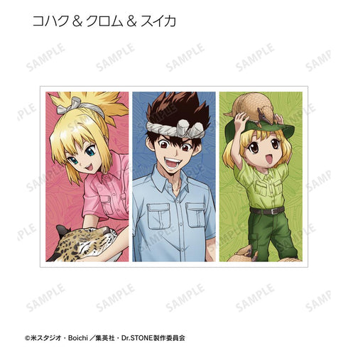 『Dr.STONE』描き下ろし 飼育係ver. トレーディングポストカード(単位/BOX)