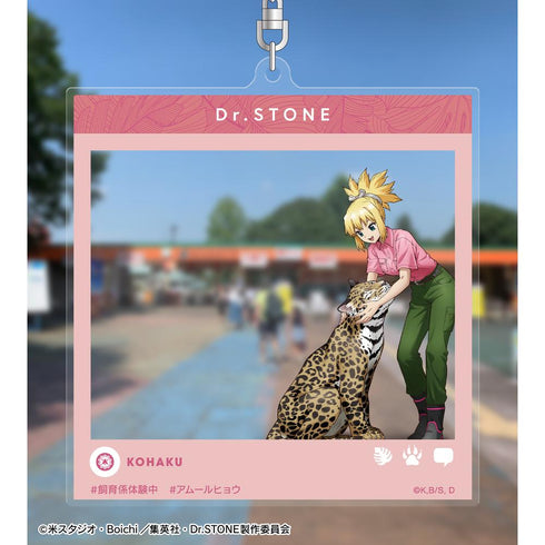 『Dr.STONE』描き下ろし コハク 飼育係ver. SNS風BIGアクリルキーホルダー【202510再販】