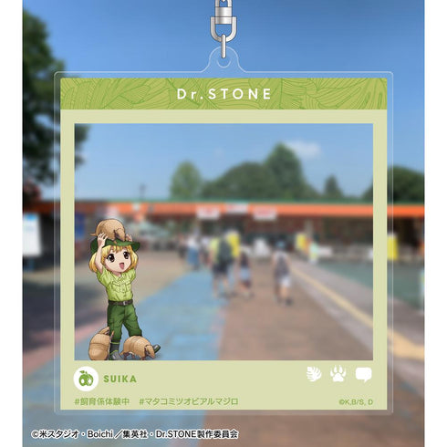 『Dr.STONE』描き下ろし スイカ 飼育係ver. SNS風BIGアクリルキーホルダー【202504再販】