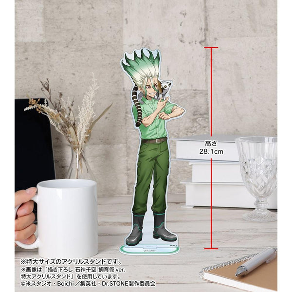 《Dr.STONE》全新绘制 狮子王司 饲养员版 特大亚克力立牌【202609再版】
