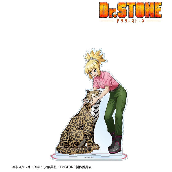 《Dr.STONE》全新绘制 琥珀 饲养员版 特大亚克力立牌【202609再版】