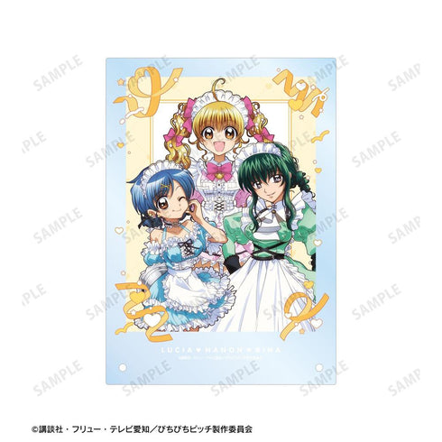 『ぴちぴちピッチ』描き下ろし 集合 メイドver. A5アクリルパネル【202606再販】