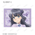 『青春ブタ野郎はバニーガール先輩の夢を見ない』描き下ろし チャイナドレスver. トレーディングポストカード(単位/BOX)