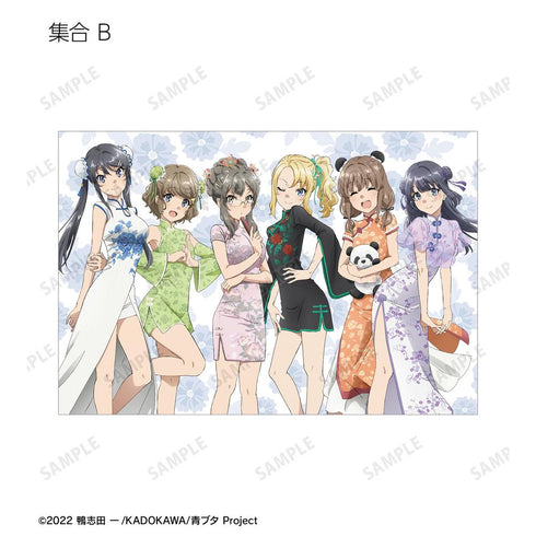 『青春ブタ野郎はバニーガール先輩の夢を見ない』描き下ろし チャイナドレスver. トレーディングポストカード(単位/BOX)