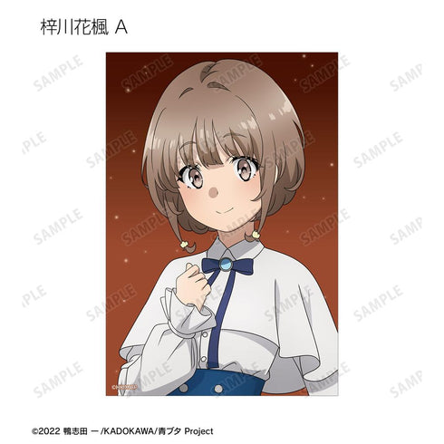 『青春ブタ野郎はおでかけシスターの夢を見ない』描き下ろし 星空ドレスver. トレーディングクリアカード(単位/BOX)