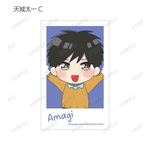 『高良くんと天城くん』『兄貴の友達』トレーディングインスタントカメラ風イラストカード(単位/BOX)