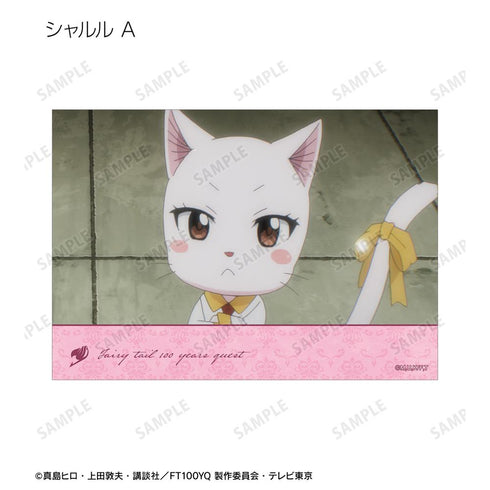 『FAIRY TAIL 100年クエスト』トレーディング場面写ブロマイド(単位/BOX)