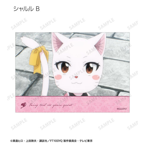 『FAIRY TAIL 100年クエスト』トレーディング場面写ブロマイド(単位/BOX)