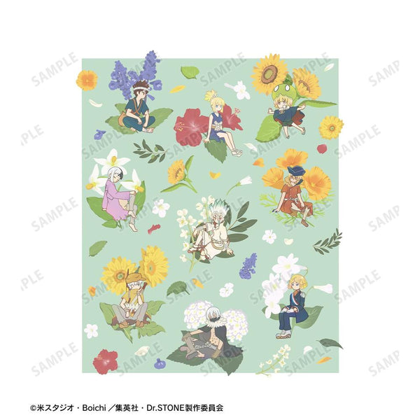 《Dr.STONE》Botania 男士T恤【202609 再次发售】