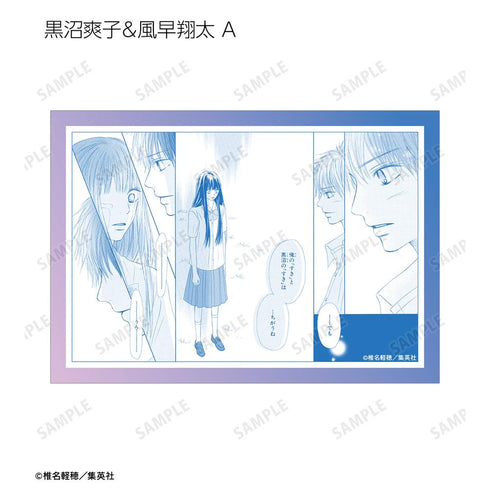 『君に届け』トレーディングブロマイド(単位/BOX)