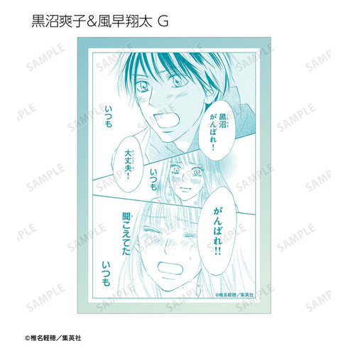 『君に届け』トレーディングブロマイド(単位/BOX)