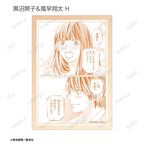 『君に届け』トレーディングブロマイド(単位/BOX)