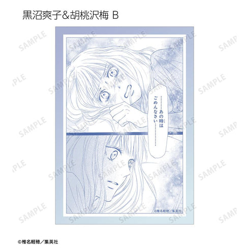 『君に届け』トレーディングブロマイド(単位/BOX)