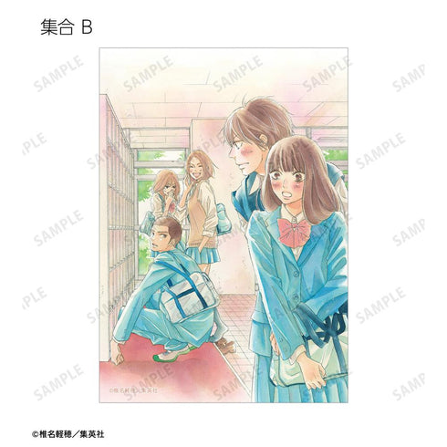 『君に届け』トレーディングブロマイド(単位/BOX)