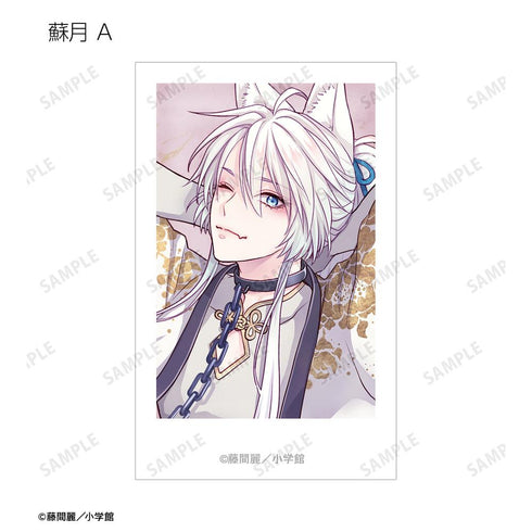 『黎明のアルカナ&王の獣~掩蔽のアルカナ~』藤間麗先生 描き下ろし 白の礼服ver. トレーディングインスタントカメラ風イラストカード(単位/BOX)