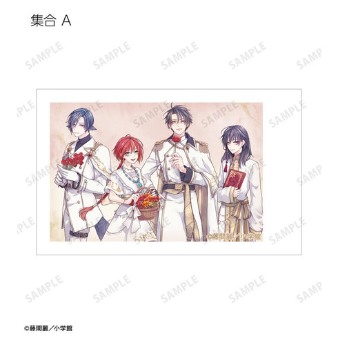 『黎明のアルカナ&王の獣~掩蔽のアルカナ~』藤間麗先生 描き下ろし 白の礼服ver. トレーディングインスタントカメラ風イラストカード(単位/BOX)