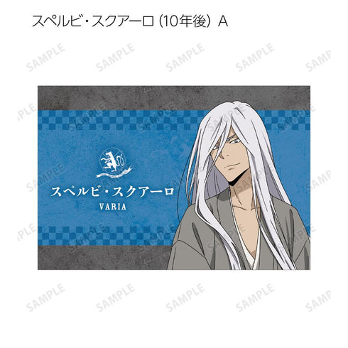 『家庭教師ヒットマンREBORN!』描き下ろし 和洋折衷ver. トレーディングポストカード2枚セット(単位/BOX)