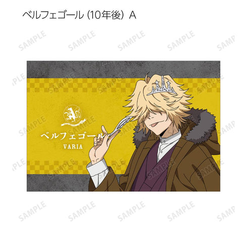 『家庭教師ヒットマンREBORN!』描き下ろし 和洋折衷ver. トレーディングポストカード2枚セット(単位/BOX)