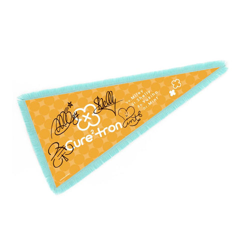 『バンドやろうぜ!』Cure2tron フリンジ付きBIGペナント