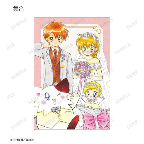 『だぁ!だぁ!だぁ!』川村美香先生 描き下ろし ウェディングver. トレーディングポストカード(単位/BOX)
