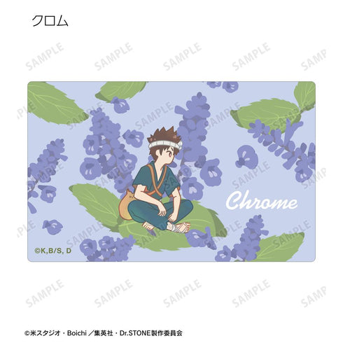 『Dr.STONE』トレーディング Botania カードステッカー(単位/BOX)