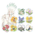 『Dr.STONE』トレーディング Botania アクリルマグネット(単位/BOX)