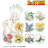 『Dr.STONE』トレーディング Botania アクリルマグネット(単位/BOX)